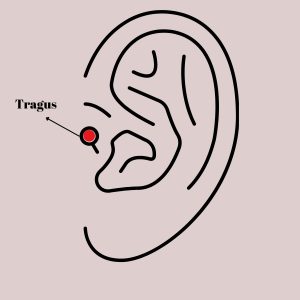 316L Çelik Gümüş Renk Zirkon Taşlı Kutup Yıldızı Model Tragus Piercing - Görsel 2