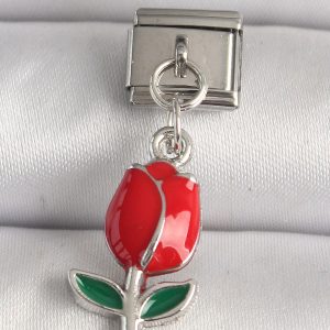 316L Çelik Gümüş Renk Kırmızı Gül Model Nomination Charm - Görsel 1